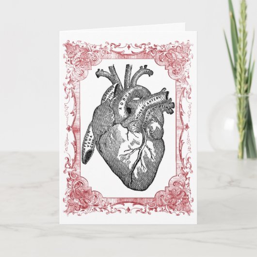 hart anatomie Valentijn Wenskaart Feestdagen Kaart (Voorkant)