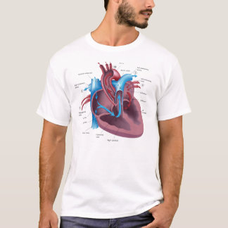 Hart Anatomy cool t shirt