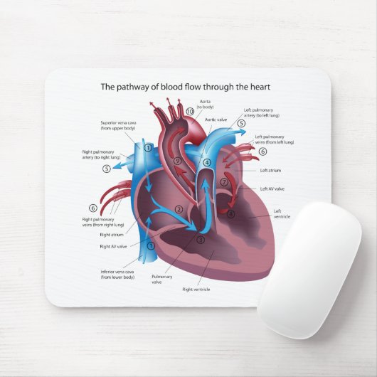Hart Anatomy Mousepad Muismat (Met muis)