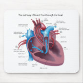 Hart Anatomy Mousepad Muismat (Voorkant)