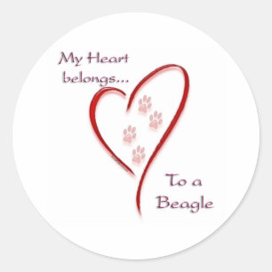 Hart behoort tot Beagle; Love Beagles; Beagle Love Ronde Sticker