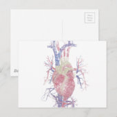 Hart (Biro) Briefkaart (Voorkant / Achterkant)
