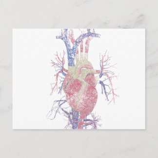 Hart (Biro) Briefkaart