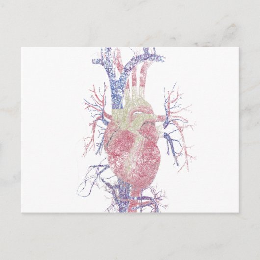 Hart (Biro) Briefkaart (Voorkant)