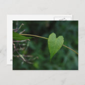 hart briefkaart (Voorkant / Achterkant)