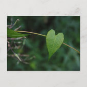 hart briefkaart (Voorkant)