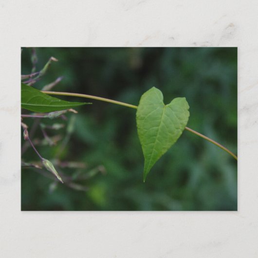 hart briefkaart (Voorkant)