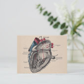 hart Cardiovasculair systeem anatomie Briefkaart (Staand voorkant)