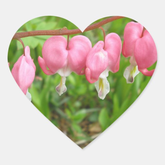 "Hart Delight!" Hart Sticker (Voorkant)