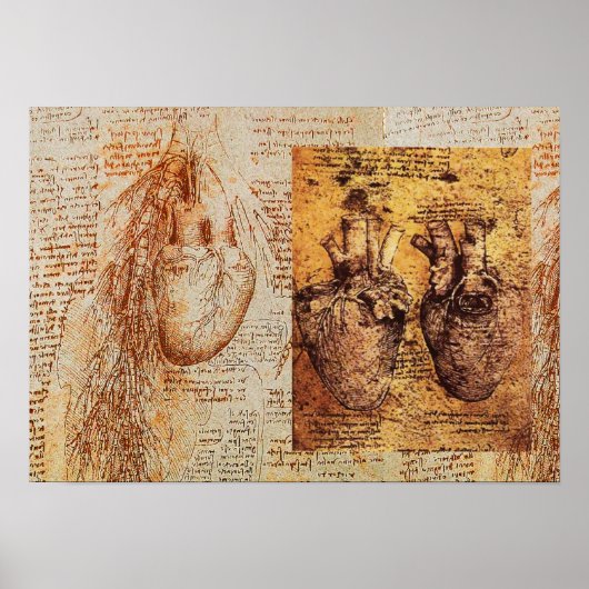 Hart en bloedvaten / Bronchiale Arteria Poster (Voorkant)