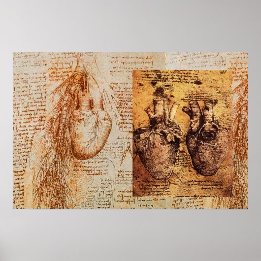 Hart en bloedvaten / Bronchiale arteriën Poster (Voorkant)
