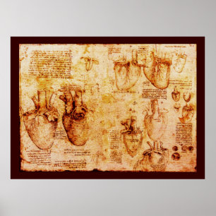 Hart en bloedvaten, bruin canvas poster