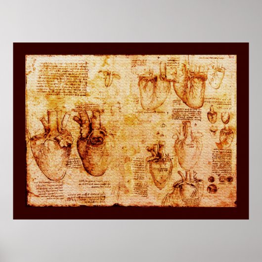 Hart en bloedvaten, bruin canvas poster (Voorkant)