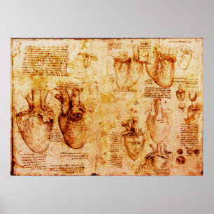 Hart en bloedvaten , bruin poster