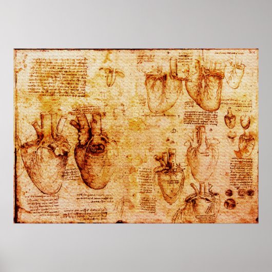Hart en bloedvaten , bruin poster (Voorkant)