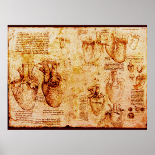 Hart en bloedvaten , bruine canvas poster