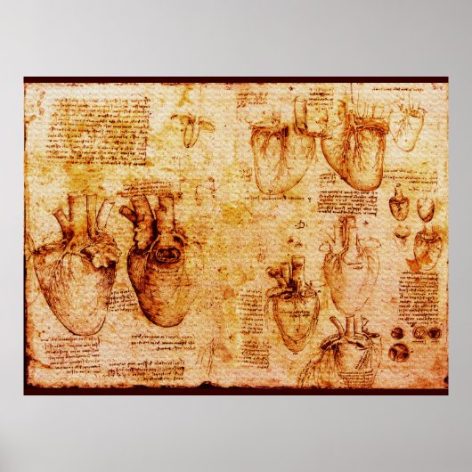 Hart en bloedvaten , bruine canvas poster (Voorkant)