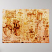 Hart en bloedvaten daarvan, bruin poster (Voorkant)