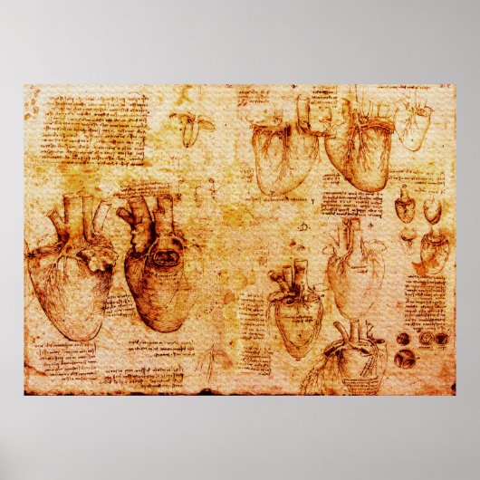 Hart en bloedvaten daarvan, bruin poster (Voorkant)