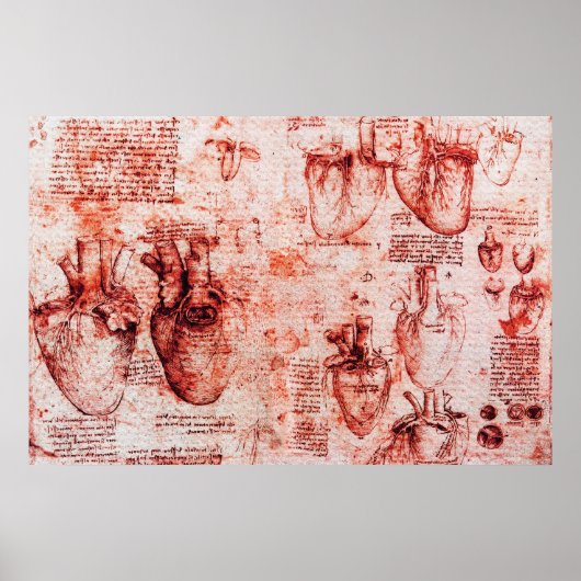 Hart en bloedvaten Leonardo Da Vinci,rood Poster (Voorkant)