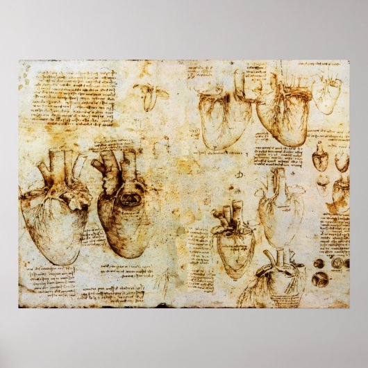 Hart en bloedvaten poster (Voorkant)