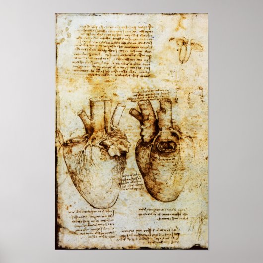 Hart en bloedvaten poster (Voorkant)