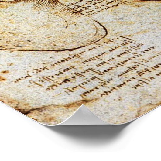 Hart en bloedvaten poster (Hoek)