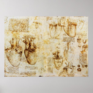 Hart en bloedvaten poster