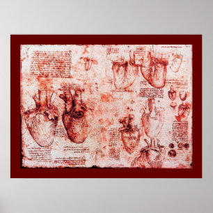 Hart en bloedvaten, rood canvas poster
