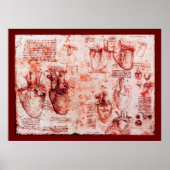 Hart en bloedvaten, rood canvas poster (Voorkant)