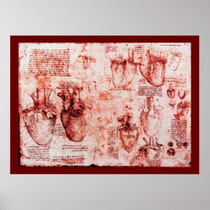 Hart en bloedvaten, rood canvas poster