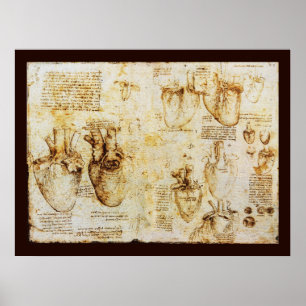 Hart en bloedvaten, Sepia Canvas Poster