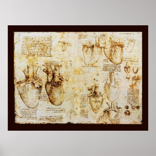 Hart en bloedvaten, Sepia Canvas Poster (Voorkant)