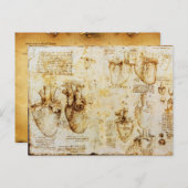 Hart en de bloedvaten, perkament briefkaart (Voorkant / Achterkant)