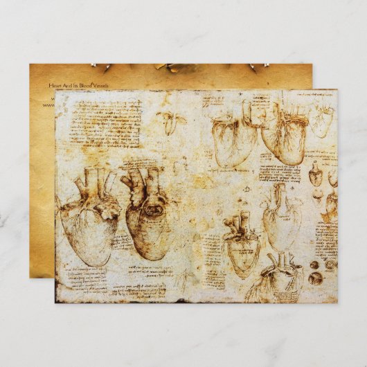 Hart en de bloedvaten, perkament briefkaart (Voorkant / Achterkant)