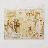 Hart en de bloedvaten, perkament briefkaart (Voorkant)
