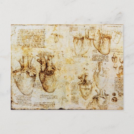 Hart en de bloedvaten, perkament briefkaart (Voorkant)