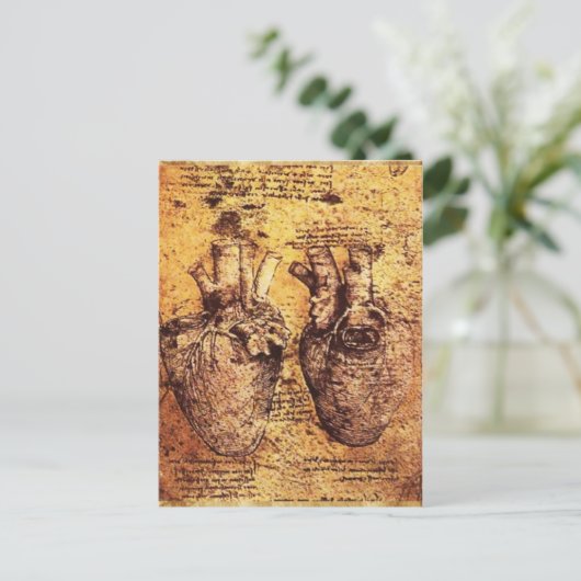 Hart en de bloedvaten, perkament briefkaart (Staand voorkant)