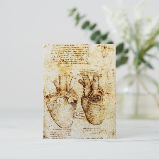 Hart en de bloedvaten, perkament briefkaart (Staand voorkant)