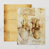 Hart en de bloedvaten, perkament briefkaart (Voorkant / Achterkant)