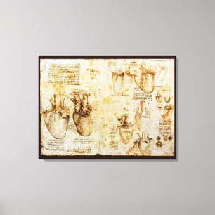 Hart en haar bloedvaten, Sepia Canvas Afdruk