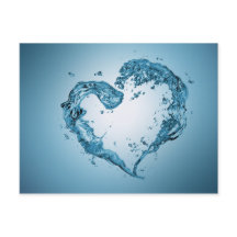 Hart- en rivierriemen