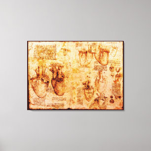 Hart en zijn bloedvaten, bruin canvas afdruk