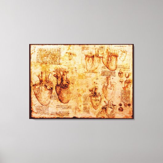 Hart en zijn bloedvaten, bruin canvas afdruk (Voorkant)