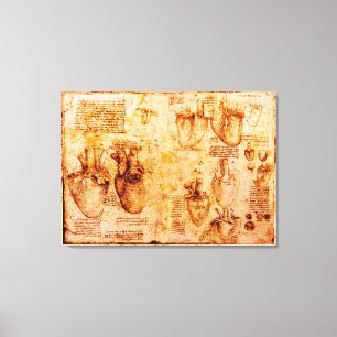 Hart en zijn bloedvaten, bruin canvas afdruk