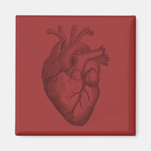  hart illustratie magneet (Voorkant)