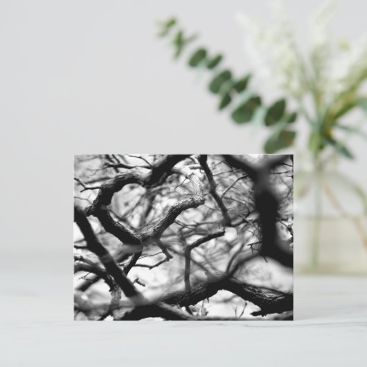 Hart in de bijkantoren briefkaart (Staand voorkant)