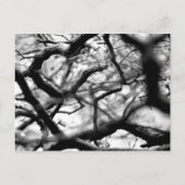 Hart in de bijkantoren briefkaart (Voorkant)