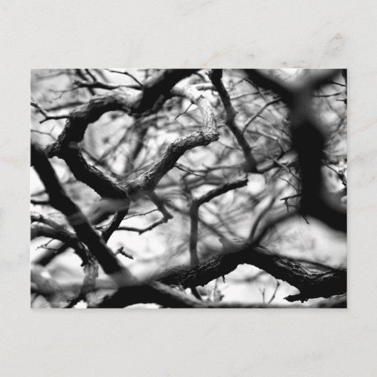 Hart in de bijkantoren briefkaart (Voorkant)