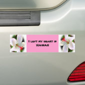 Hart in de bumpersticker Hawaii (Op auto)